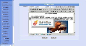 專業(yè)進(jìn)出口服務(wù)公司整站解決方案 美工大氣后臺(tái)完整，精品源碼共享